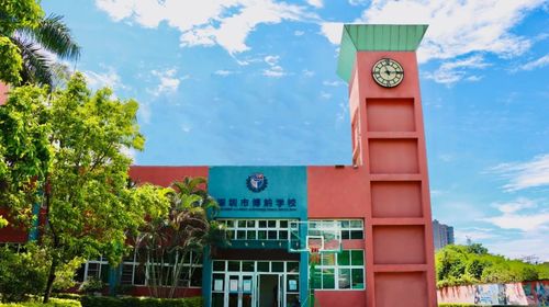 中考后入读国际学校 这14所学校均有机会