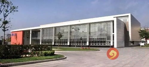 最高一套8000万!国际教育学院旁豪宅抢购现场火爆,戴口罩排队竟引冲突